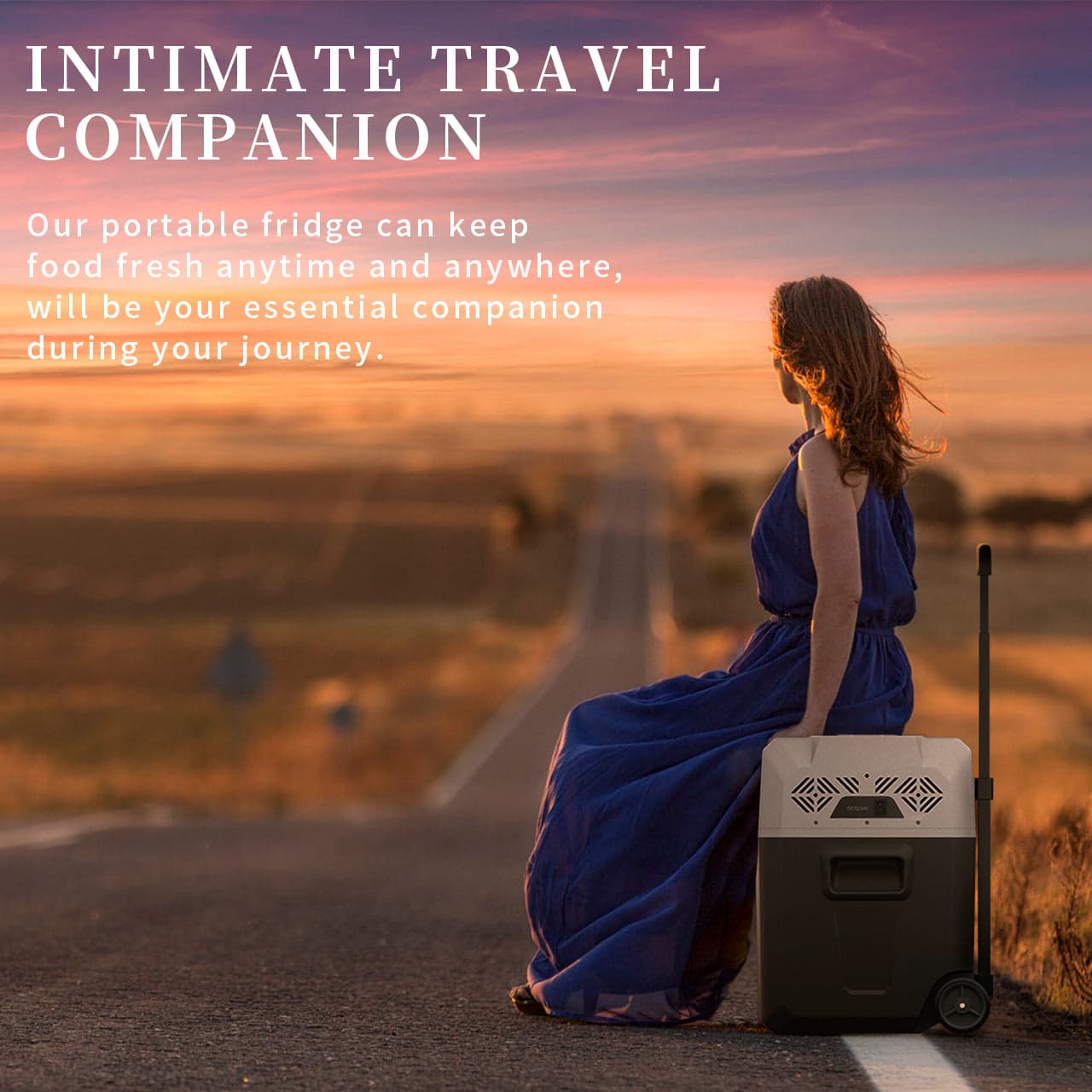 Frødak FDCX50 Portable Car Fridge - Bild 3