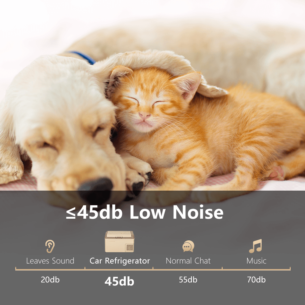 Frødak FDGE50 Car Fridge Freezer - Bild 6